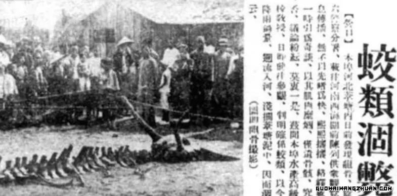 1934年辽宁营口坠龙事件：探寻历史谜团