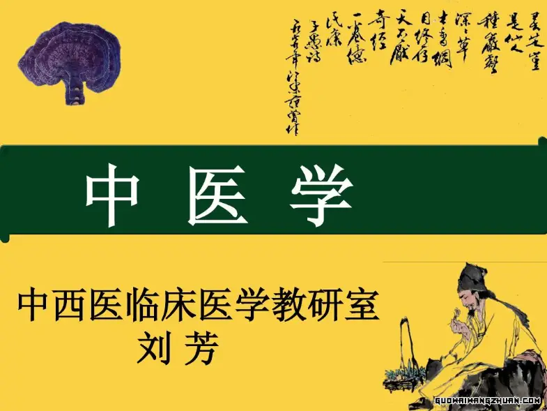 中西医临床医学是冷门专业吗？探索冷门专业的魅力与价值