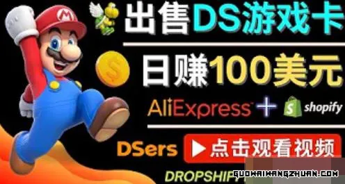 出售DS游戏卡，日赚100美元以上，净利润可达100%