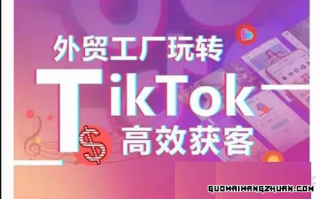 外贸工厂玩转TIKTOK高效获客，多种引流方式与账号定位技巧，拆解爆款短视频打造成功案例