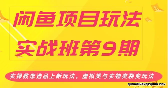 闲鱼项目玩法实战班：实操教您选品上新玩法，虚拟类与实物类裂变玩法(2小时无水印)