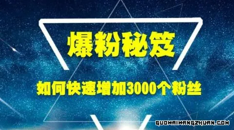 《爆粉秘笈》如何快速增加3000个精准粉丝