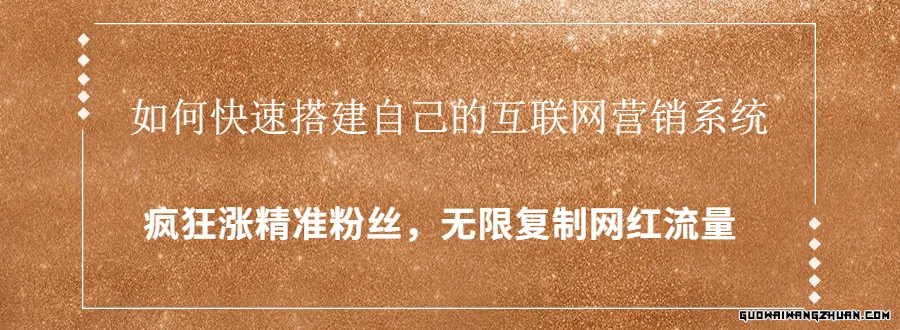 快速搭建自己的互联网营销系统，疯狂涨精准粉丝，无限复制网红流量