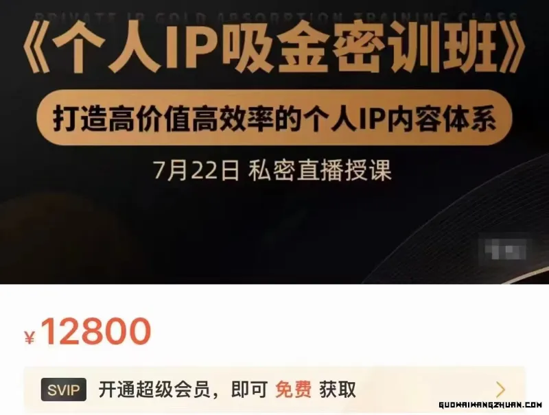 个人IP吸金密训班，打造高价值高效率的个人IP内容体系（价值12800元）