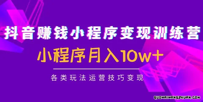 抖音赚钱小程序变现训练营：小程序月入10W+各类玩法运营技巧变现