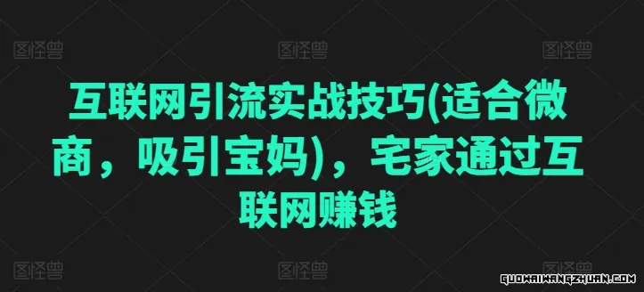 互联网引流实战技巧(适合微商，吸引宝妈)，宅家通过互联网赚钱