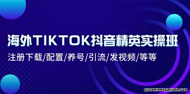 海外TIKTOK抖音精英实操班：注册下载/配置/养号/引流/发视频/等等