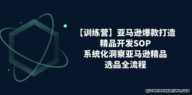 亚马逊爆款打造之精品开发SOP【训练营】，系统化洞察亚马逊精品选品全流程