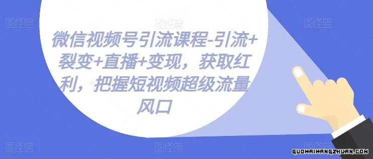 微信视频号引流课程-引流+裂变+直播+变现，获取红利，把握短视频超级流量风口