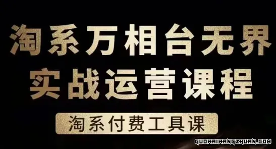 淘系万相台无界实战运营课，淘系付费工具课