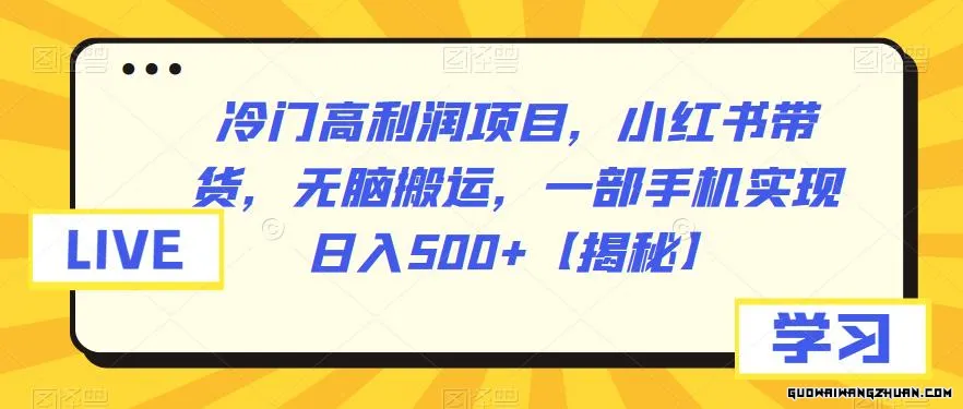 冷门高利润项目，小红书带货，无脑搬运，一部手机实现日入500+【揭秘】