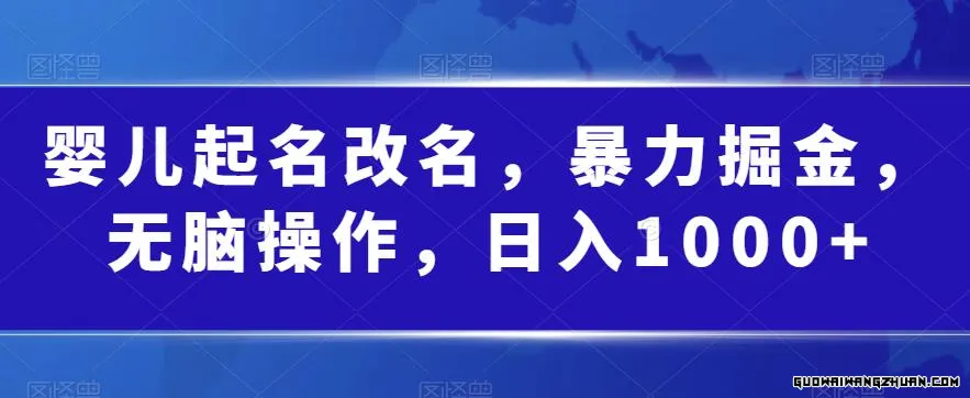 婴儿起名改名，火速掘金，无脑操作，日入1000+【揭秘】