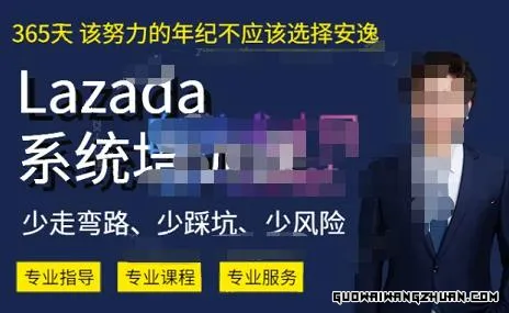 熊猫老师·LAZADA系统课程（跨境店+本土店），一套能解决实际问题的LAZADA系统课程