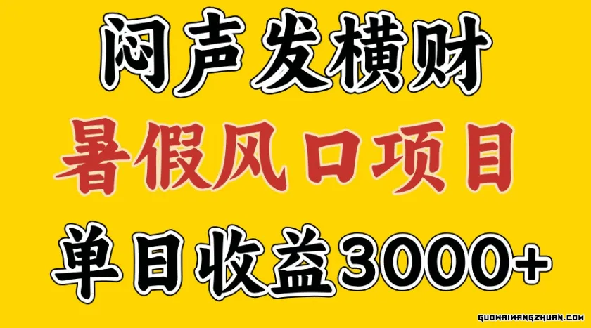 30天赚了7.5W，暑假风口项目，比较好学，2天左右上手