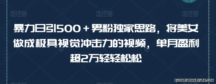 暴力日引500＋男粉独享思路，将美女做成极具视觉冲击力的视频，单月盈利超2万轻轻松松【揭秘】