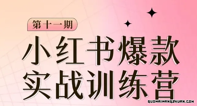 小红书博主爆款训练营第11期，手把手教你从0-1做小红书，从定位到起号到变现