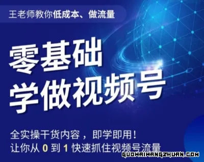 王老师教你低成本、做流量，零基础学做视频号，0-1快速抓住视频号流量