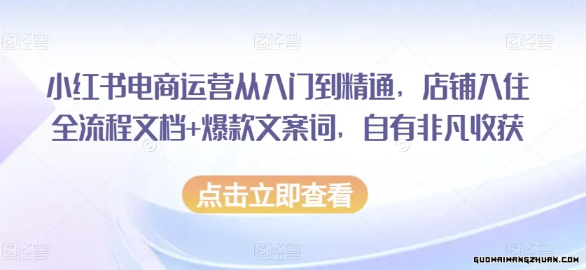 小红书电商运营从入门到精通，店铺入住全流程文档+爆款文案词，自有非凡收获