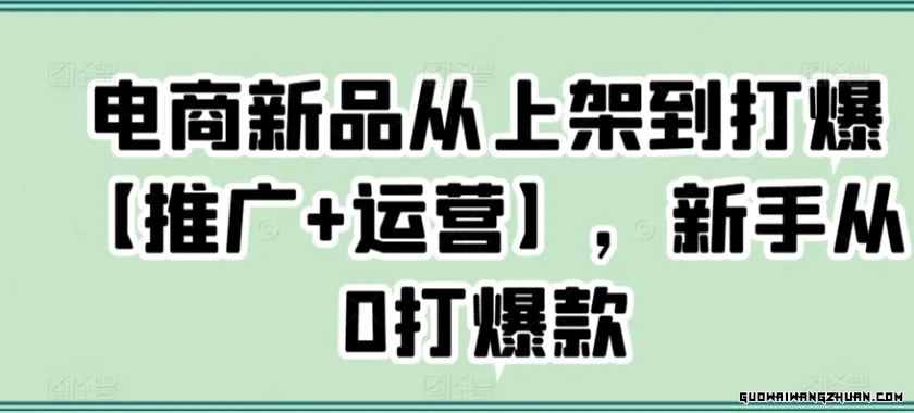 电商新品从上架到打爆【推广+运营】，新手从0打爆款