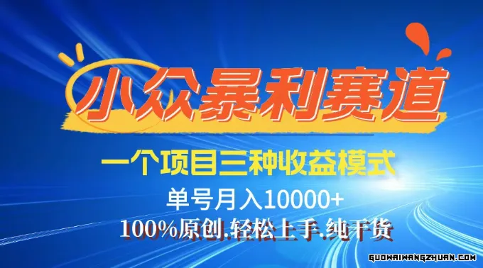 视频号爆火赛道，一个项目三种变现方式，单号月入10000+，完全原创纯干货