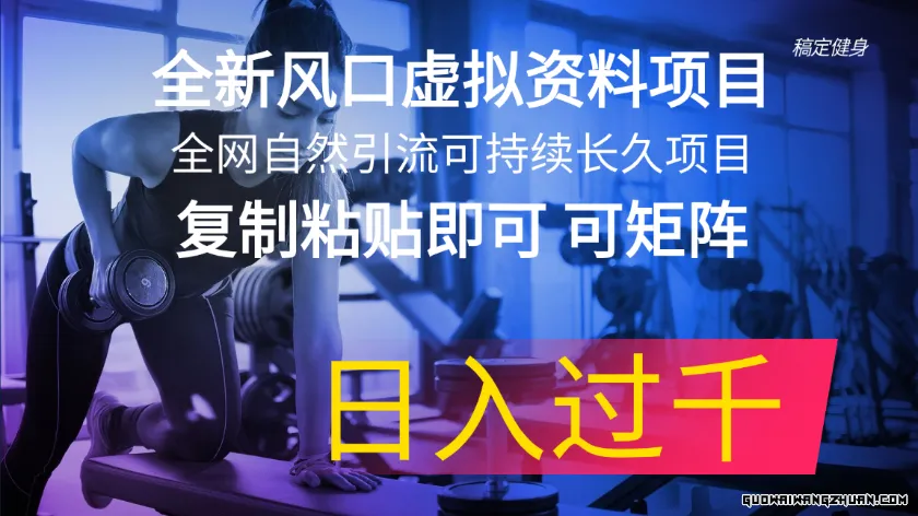 全新风口虚拟资料项目，全网自然引流可持续长久项目，复制粘贴即可可矩阵