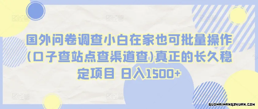 国外问卷调查小白在家也可批量操作（口子查 站点查 渠道查）真正的长久稳定项目，日入1500+【VIP独享】