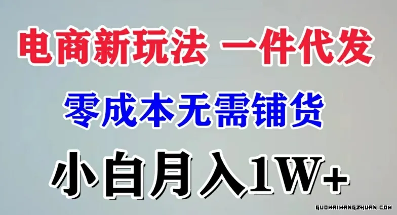 电商新玩法，一件代发，零成本无需铺货，小白月入1W+