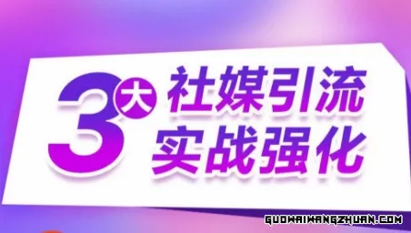 3大社媒引流实战强化，多渠道站外引流，高效精准获客，订单销售额翻倍增长