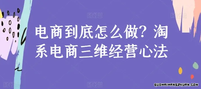 淘宝电商三维 经营心法：电商运营和电商老板必看课（59节课）