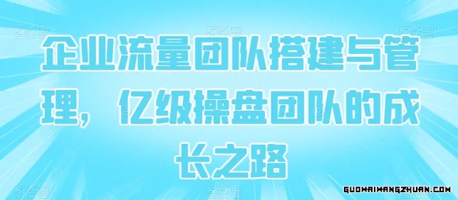 企业流量团队搭建与管理，亿级操盘团队的成长之路