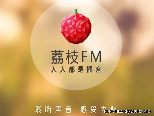 荔枝FM盈利模式揭秘：如何从音频平台中赚取收益？