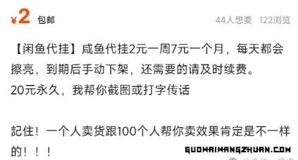 零门槛兼职新选择：揭秘代挂项目的操作指南与收益分析