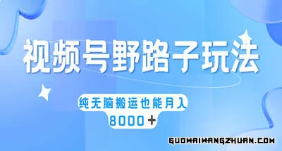 视频号野路子玩法，纯无脑搬运小白可做，月入8000+