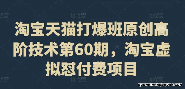 淘宝天猫打爆班原创高阶技术第60期，淘宝虚拟怼付费项目