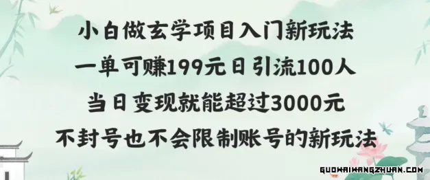 玄学项目小白入门新玩法，一单可赚199元，日变现200+ 不封号不违规