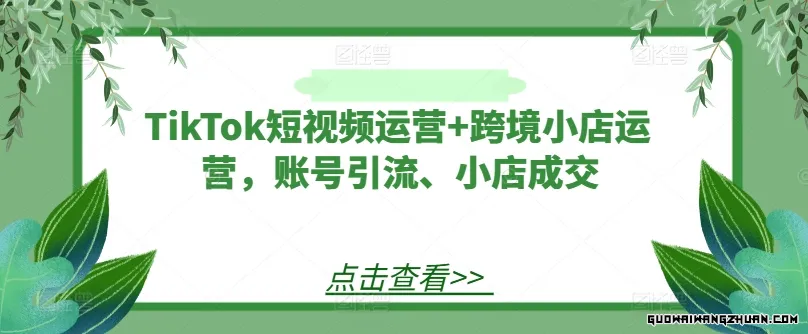 TikTok短视频运营+跨境小店运营，账号引流、小店成交