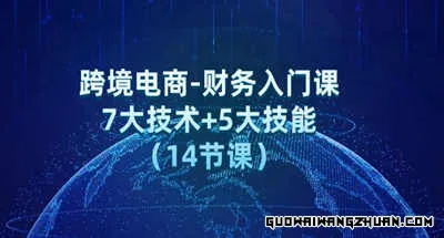 跨境电商财务入门课：7大技术+5大技能（14节课）