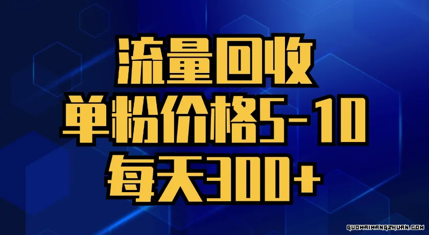 流量回收，单粉价格5-10，每天300+，轻松月入五位数