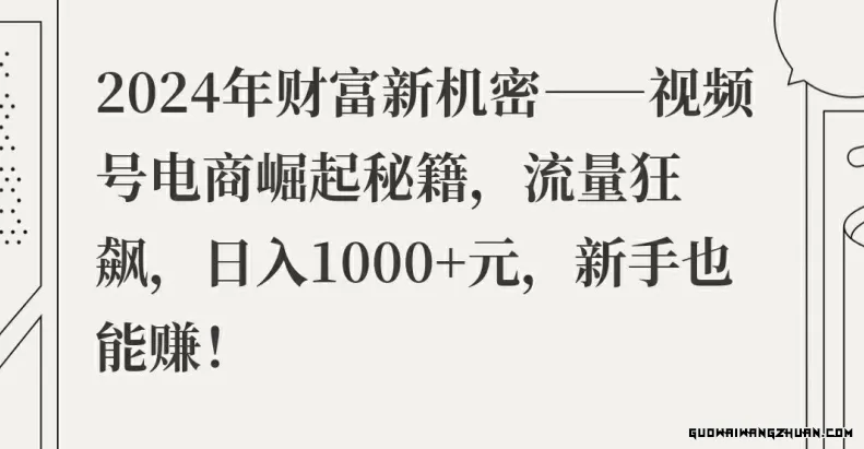 2024年财富新机密——视频号电商崛起秘籍，流量狂飙，日入1k元，新手也能赚