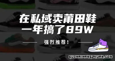 24年在私域卖莆田鞋，一年搞了89W，强烈推荐！