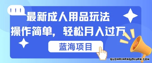 轻松上手！成人用品项目玩法揭秘：动动手，日入几百不是梦