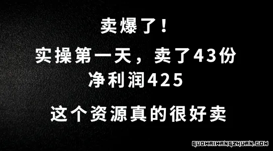 这个资源，需求很大，实操第一天卖了43份，净利润425【揭秘】