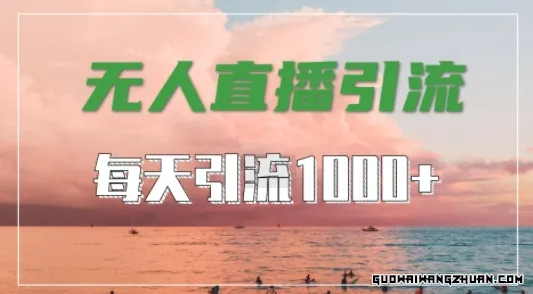 抖音快手视频号全平台通用，无人直播引流法，超暴力引流1000+高质量精准创业粉