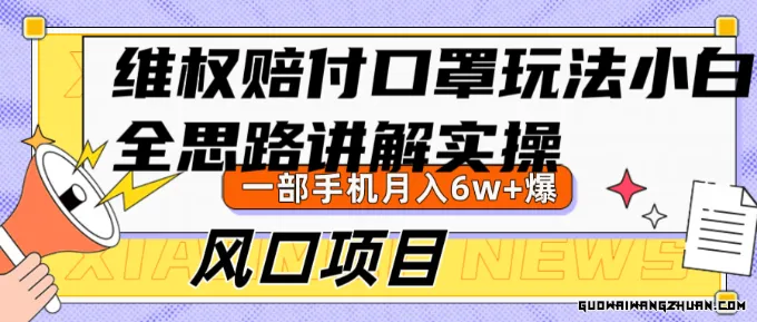 维权赔付口罩玩法，小白也能月入6w+，风口项目实操