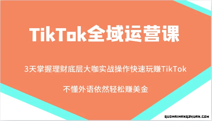 TikTok全域运营课，大咖实战操作快速玩赚TikTok，不懂外语依然轻松赚美金！