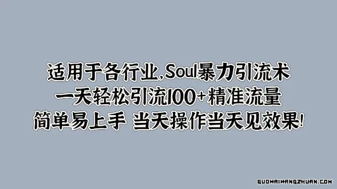 Soul疯狂引流术，一天轻松引流100+精准流量，简单易上手 当天操作当天见效果