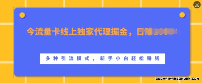 流量卡线上独家代理掘金，日入1k+ ，多种引流模式，新手小白轻松上手